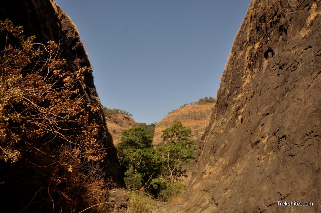 Plus Valley